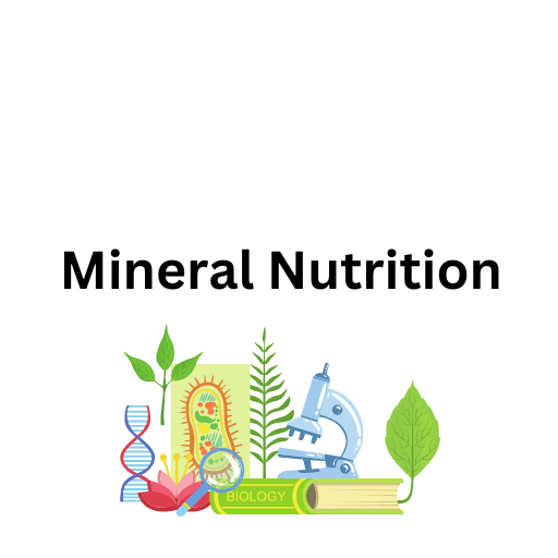 Mineral Nutrition